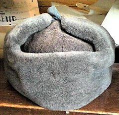 101206_1117~02.jpg 19KB 