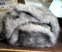 101206_1119~01.jpg 15KB 