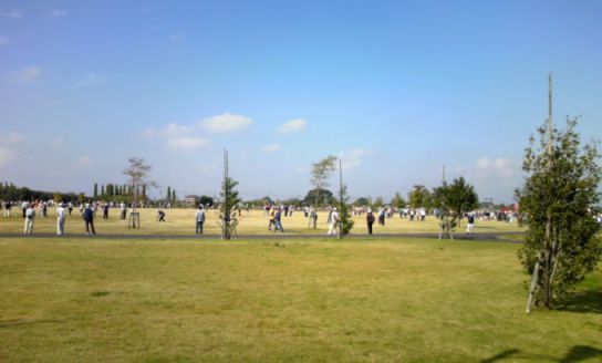 car/Pap_0002.jpg 24KB 