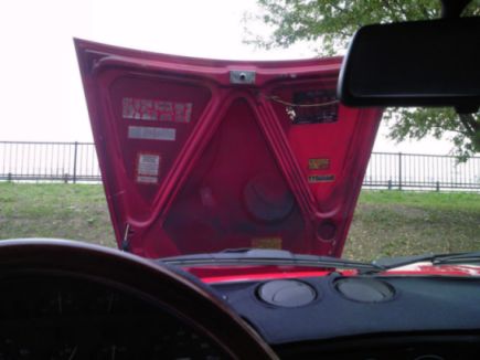 car/Pap_0007.jpg 20KB 