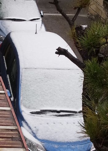 car/R0053733.jpg 33KB 