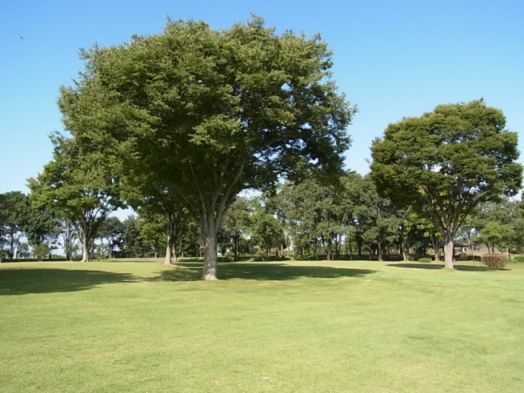 car/Rimg1823.jpg 42KB 