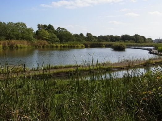 car/Rimg1824.jpg 44KB 