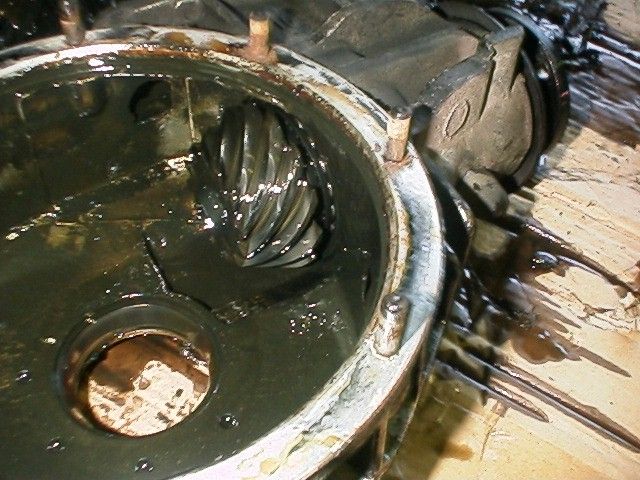 car/tamaroyadeff1.jpg 80KB 