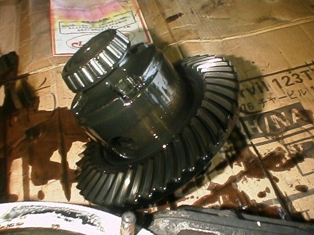 car/tamaroyadeff2.jpg 77KB 