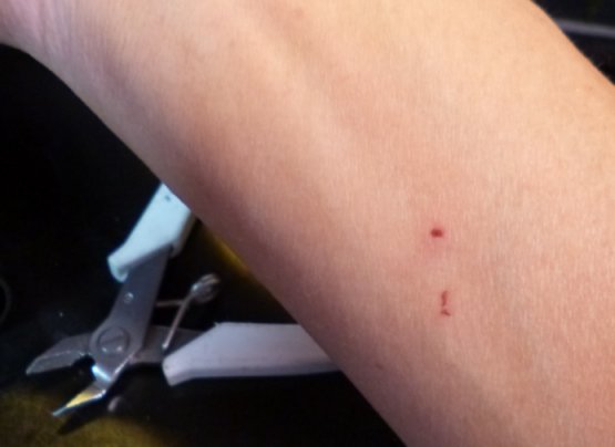 etc/P1040648.jpg 24KB 