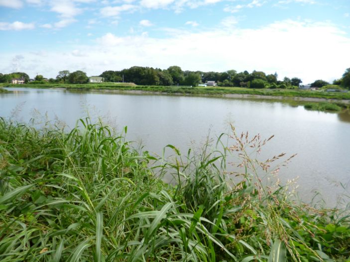 etc/P1060346.jpg 71KB 