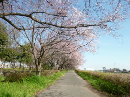 etc/P1060393.jpg 52KB 