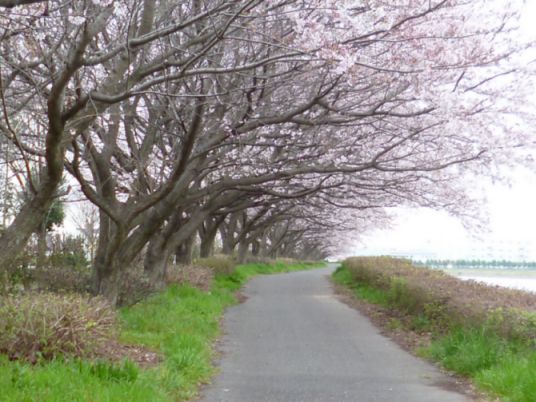 etc/P1060402.jpg 51KB 