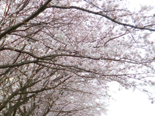 etc/P1060404.jpg 65KB 