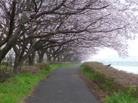 etc/P1060407.jpg 49KB 