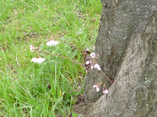 etc/P1060408.jpg 58KB 