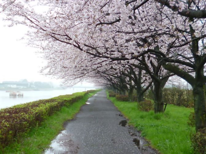 etc/P1060418.jpg 79KB 