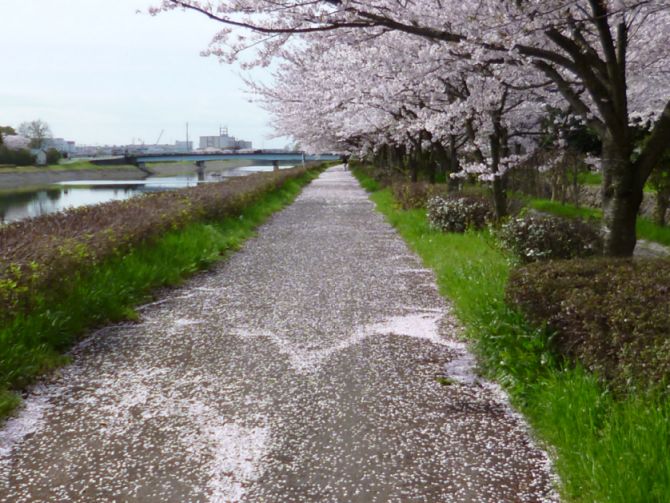 etc/P1060424.jpg 83KB 