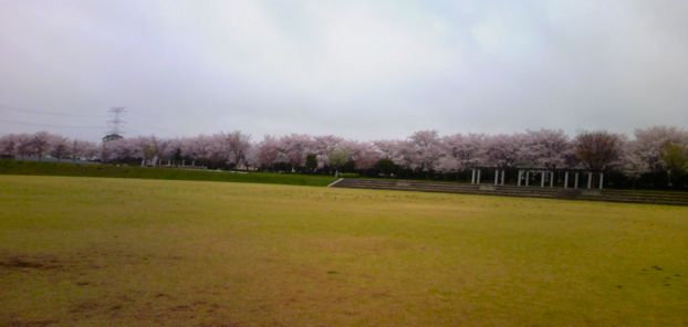 etc/Pap_0002.jpg 19KB 