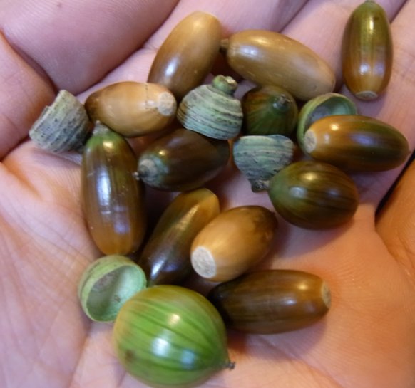 etc/R0013509.jpg 46KB 