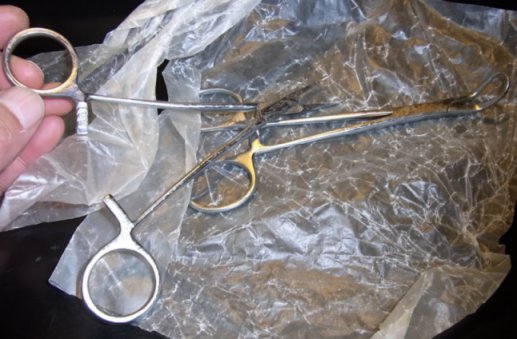 etc/R0015376.jpg 44KB 