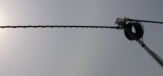 etc/R0017872.jpg 9KB 