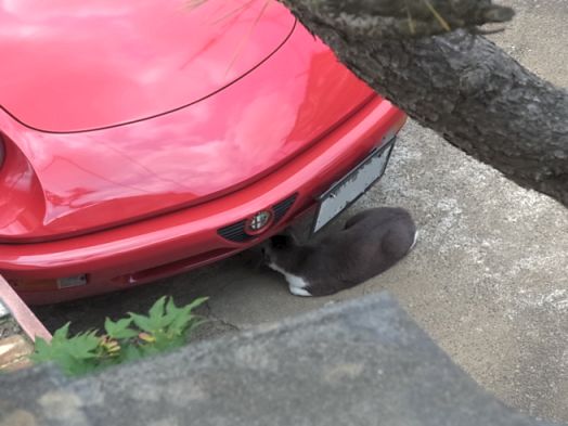 etc/R0020473.jpg 34KB 