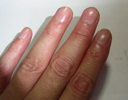 etc/R0020524.jpg 18KB 