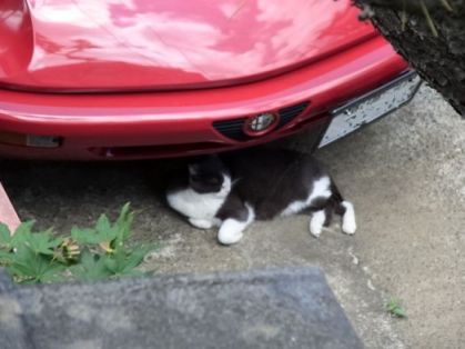 etc/R0020528.jpg 23KB 