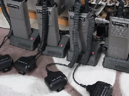 etc/R0020531.jpg 28KB 