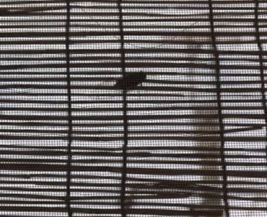 etc/R0040257.jpg 43KB 