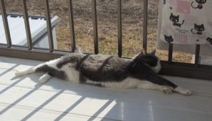 etc/R0053700.jpg 12KB 