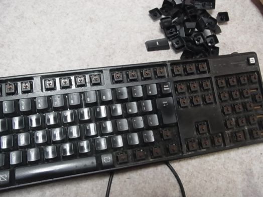 etc/R0054412.jpg 39KB 