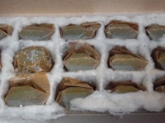 etc/Rimg0605.jpg 14KB 