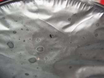 etc/Rimg1989.jpg 11KB 