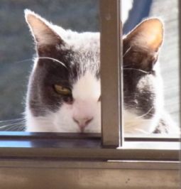 etc/Rimg4532.jpg 12KB 