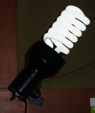 etc/Rimg6529.jpg 11KB 