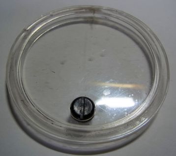 etc/Rimg6702.jpg 14KB 