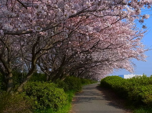 etc/Rimg7008.jpg 96KB 