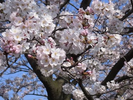 etc/Rimg7014.jpg 47KB 