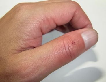 etc/Rimg8695.jpg 13KB 