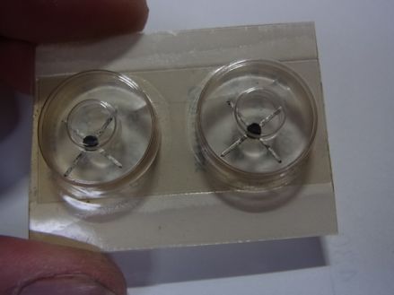 etc/Rimg8879.jpg 15KB 