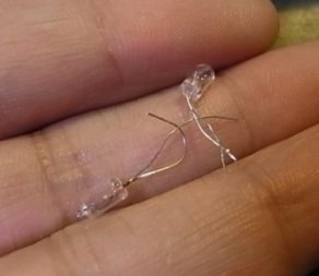 etc/Rimg9294.jpg 11KB 