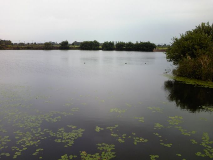 etc/Ts3o0005.jpg 30KB 