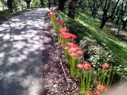 etc/Ts3o0021.jpg 50KB 