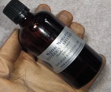 etc/pepperR0050266.jpg 22KB 