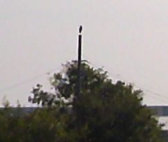 etc/toriImage1.jpg 6KB 