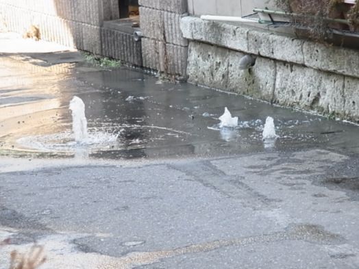 etc/webR0053853.jpg 42KB 