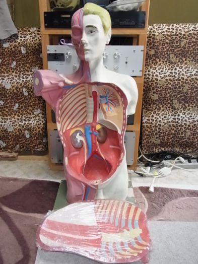 etc/webRimg6118.jpg 47KB 