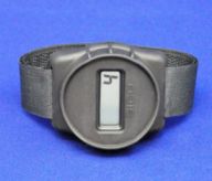 tamaroya00005.jpg 6KB 