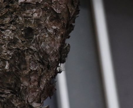 etc_1/R0059369.jpg 23KB 