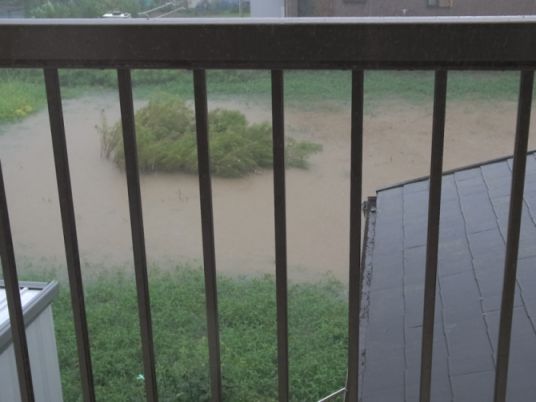 etc_1/R0059914.jpg 28KB 