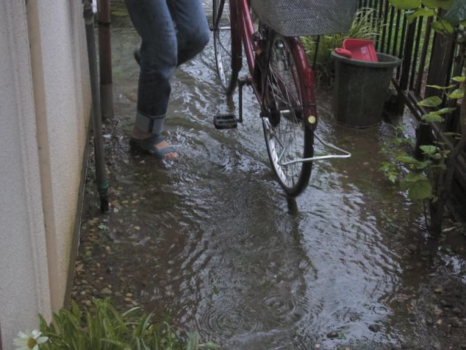 etc_1/WebR0059879.jpg 64KB 