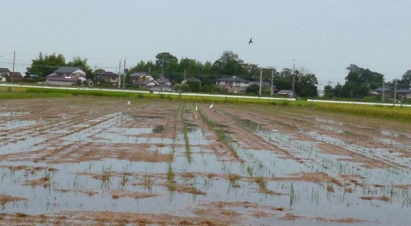 etc_1/car_1/P1060438.jpg 55KB 